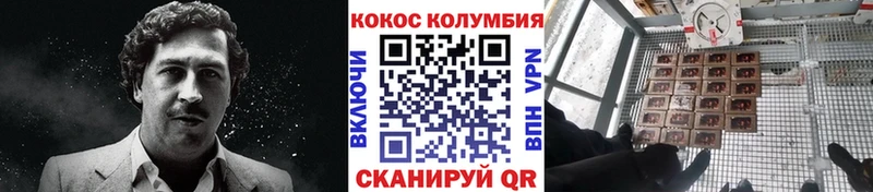 Кокаин Fish Scale  купить наркотики цена  MEGA ссылка  площадка Telegram  Всеволожск 