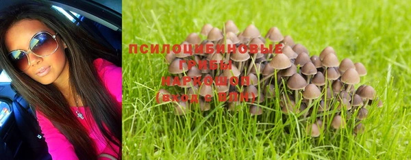 твердый Алзамай